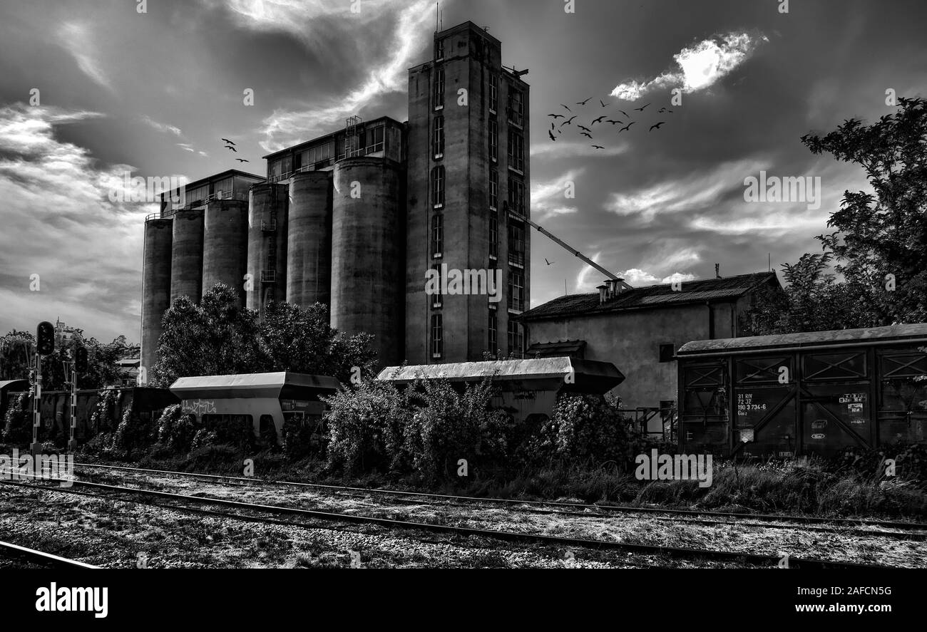 Spooky black and white photo of grain elevator and railroad with flock of black birds. Stock Photo