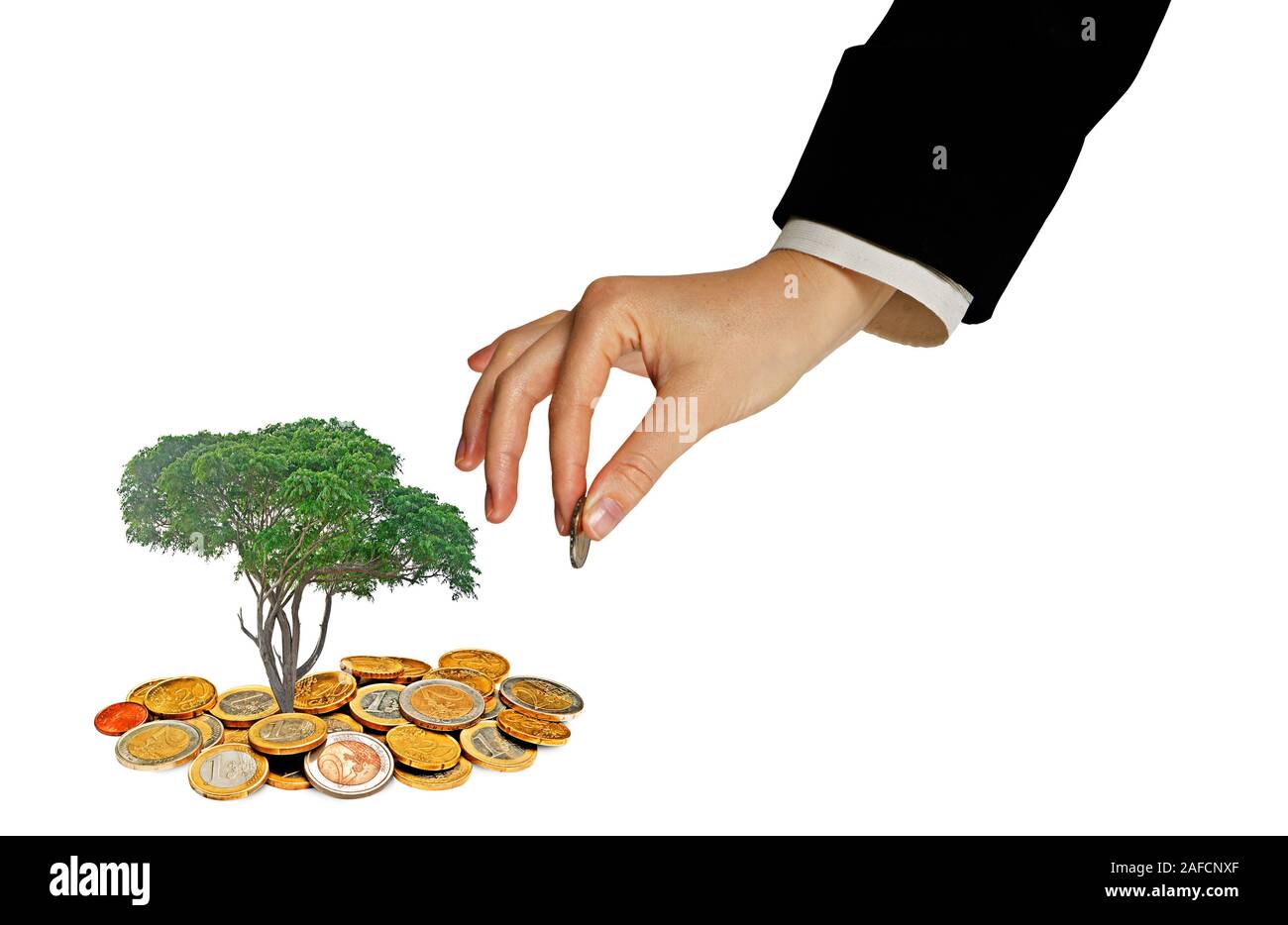 investing to green business Stock Photo