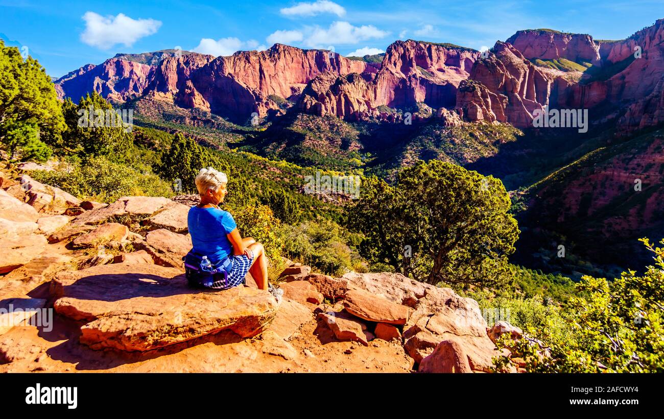 Senior woman enjoying the view of the Red Rock Mountains of the Kolob Canyon part of Zion National Park, Utah, United Sates. Viewed from Timber Creek Stock Photo