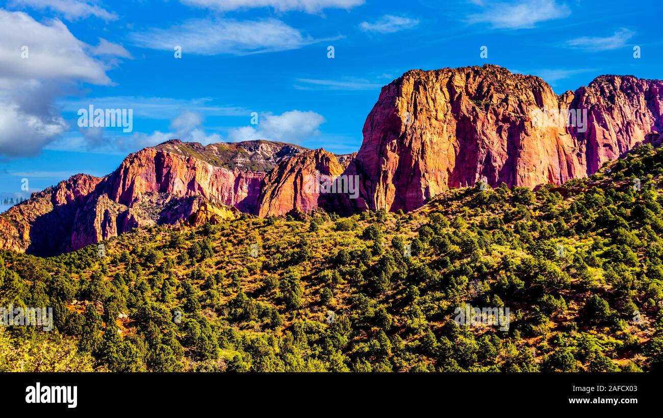 View of the Nagunt Mesa and other Red Rock Peaks of the Kolob Canyon part of Zion National Park, Utah, United Sates. Seen from Timber Creek Lookout Stock Photo