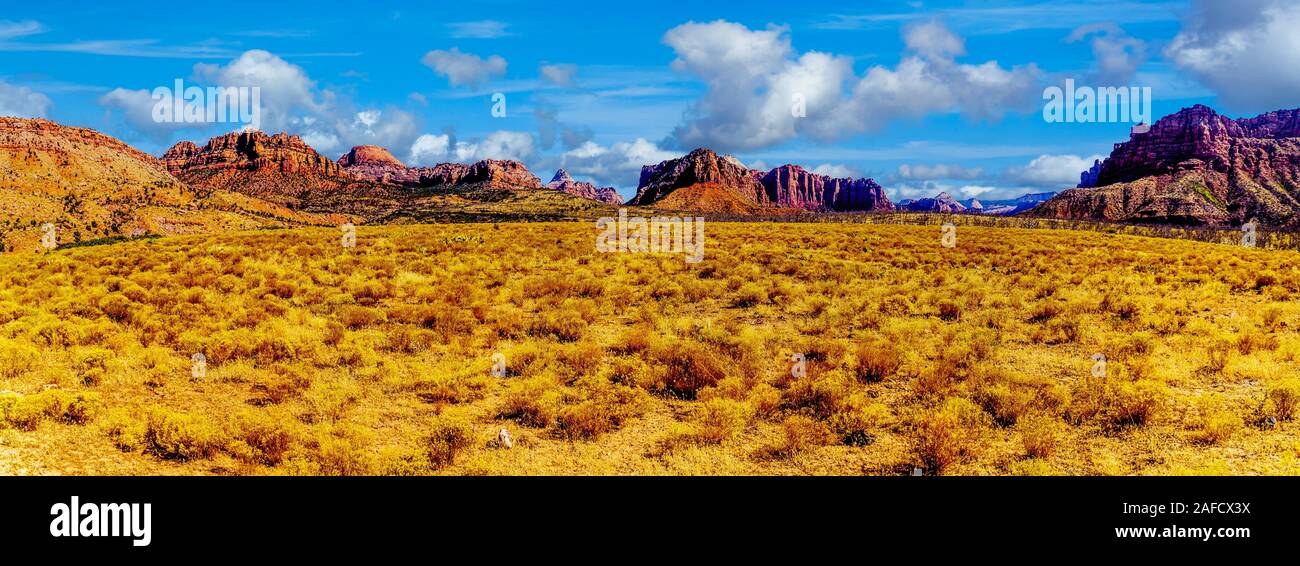 Panorama View of the Red Sandstone Mountains seen from the Kolob Terrace Road to the 8,000 ft altitude of the Kolob Plateau in Zion National Park, UT Stock Photo