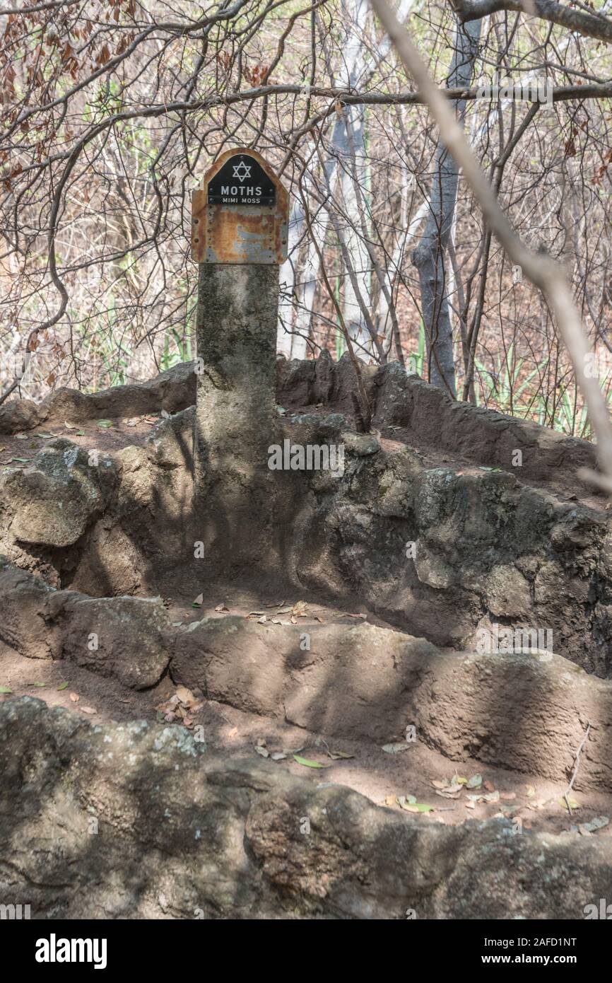 Memorable order of tin hats hires stock photography and images Alamy