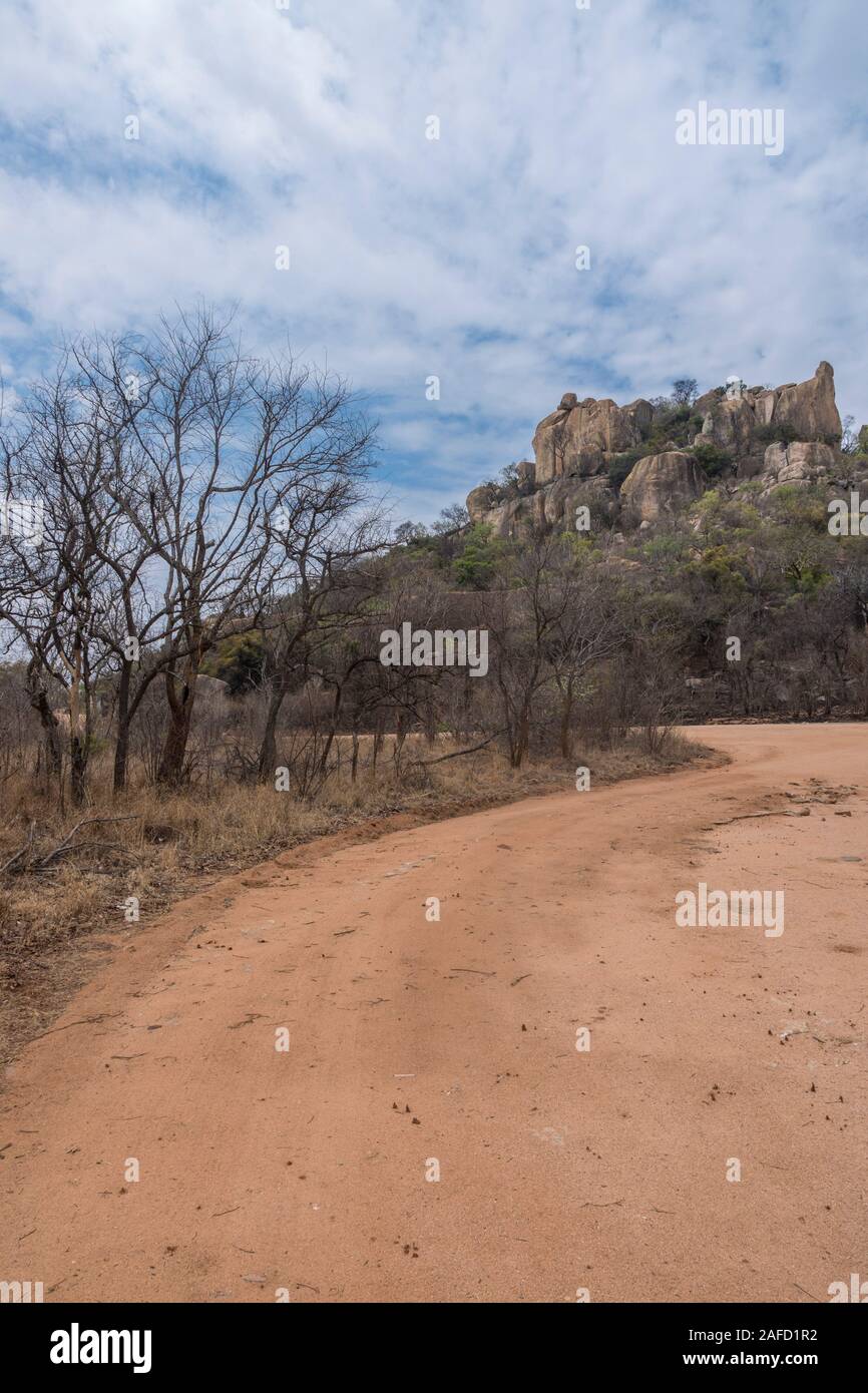 Zimbabwe. Matobo national park, a UNESCO world heritage site, known for its distinctive granite 'Kopje's (rock hills) and many trees and plants. Stock Photo