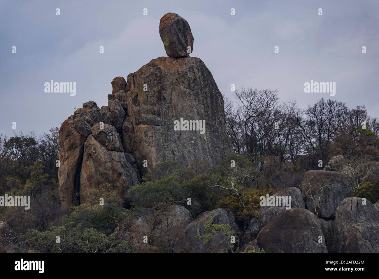 Zimbabwe. Matobo national park, a UNESCO world heritage site, known for its distinctive granite 'Kopje's (rock hills) and many trees and plants. Stock Photo