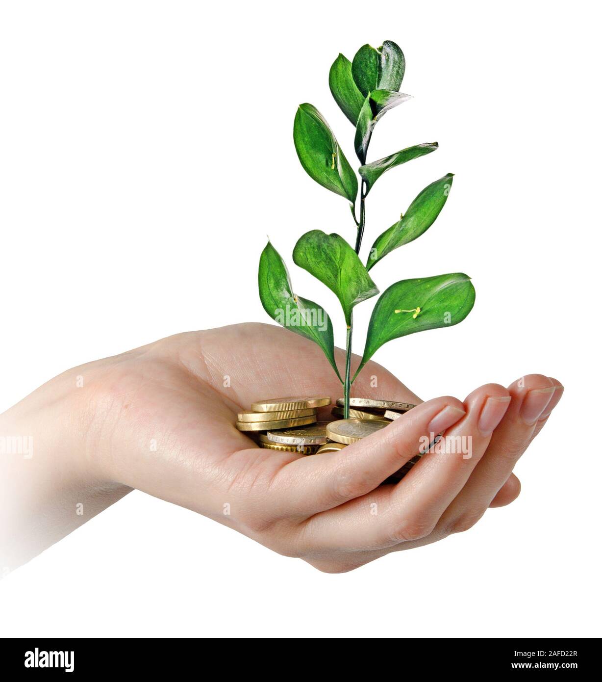 Investing to green business Stock Photo