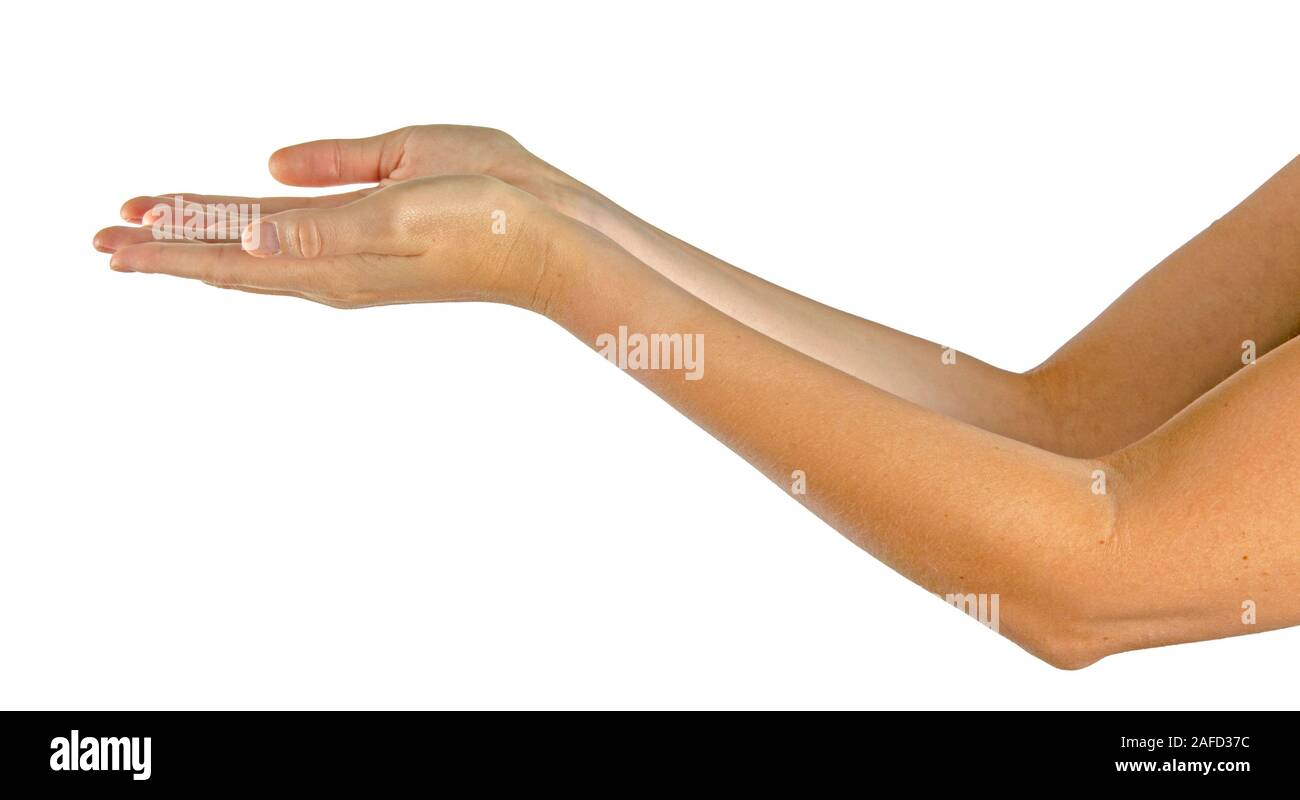 Woman hands isolated on white background Stock Photo - Alamy