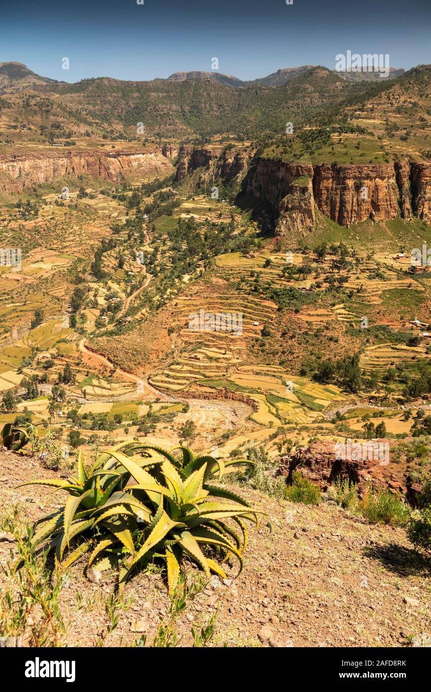 Ethiopia, Tigray, Adigrat, terraced agricultural fields up steeply