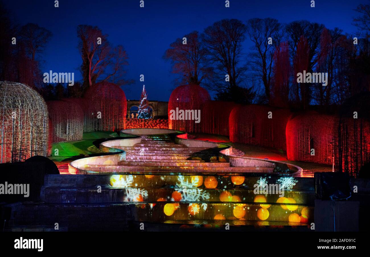 The Christmas lights trail at Alnwick Gardens in Northumberland Stock