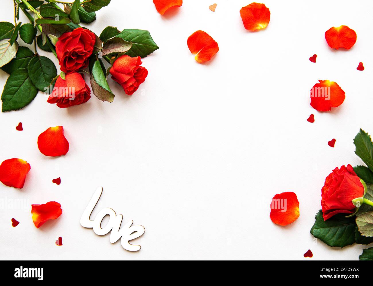 Flowers Background Red Roses Petals Red Small Hearts White