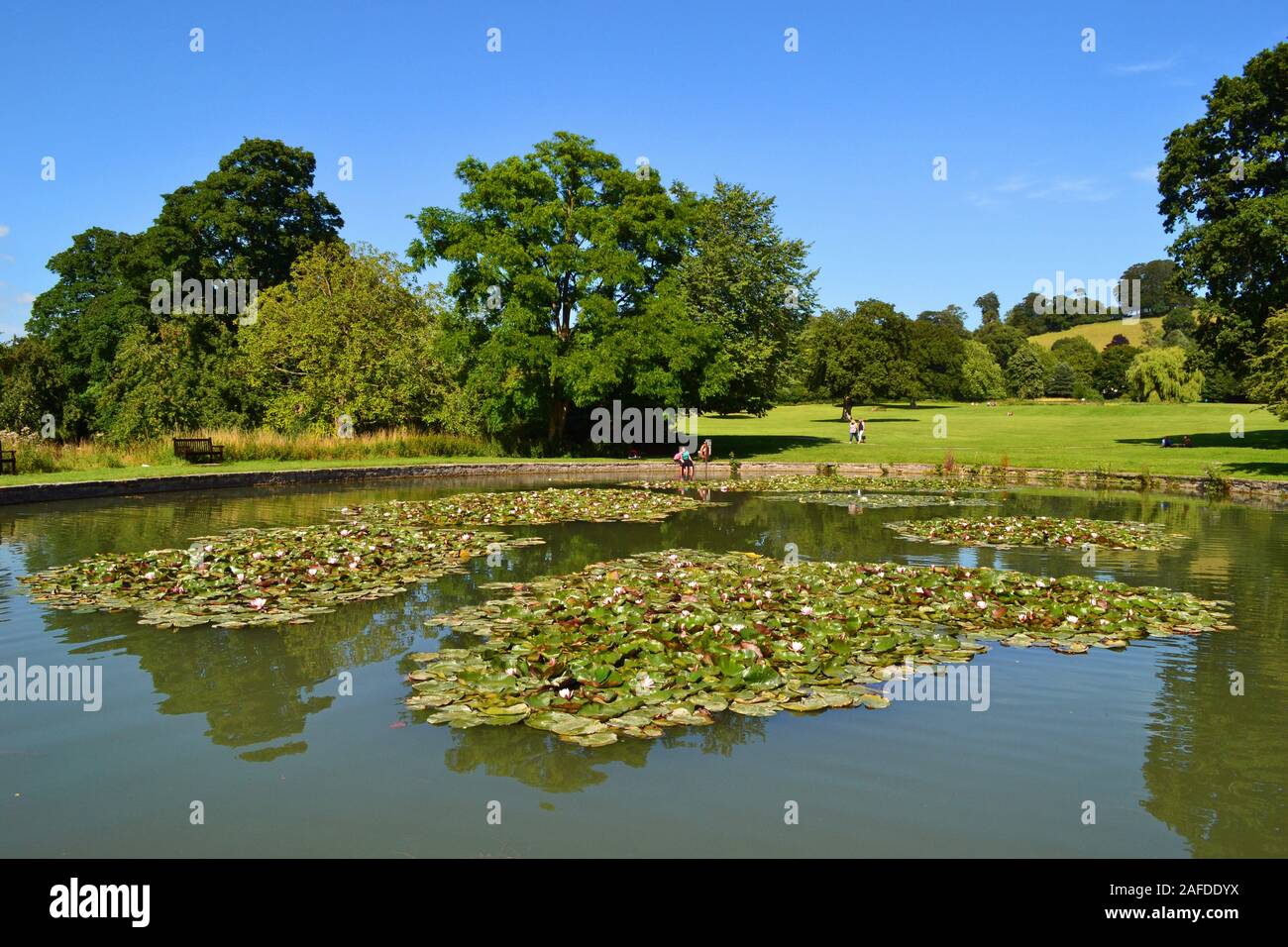 The pond in the gardens at Glastonbury Abbey, Glastonbury, Somerset, UK. The legendary burial