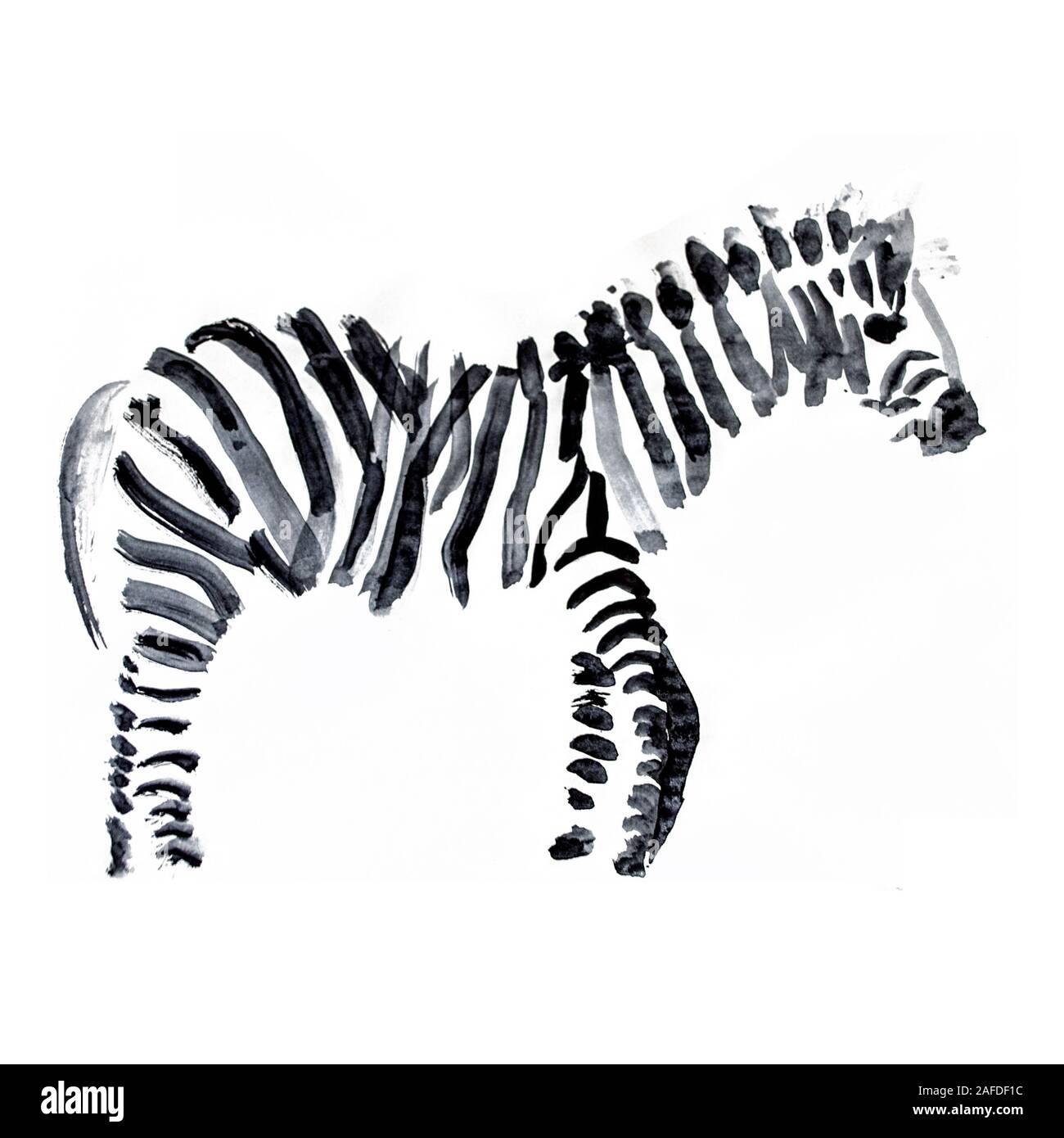Zebra drawing with artistic black mascara. Animal sketch on white background. Stock Photo