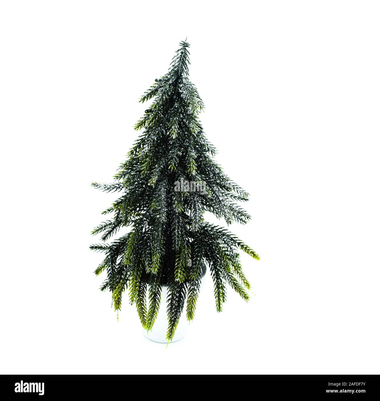 christmas tree in pot Stock Photo Alamy
