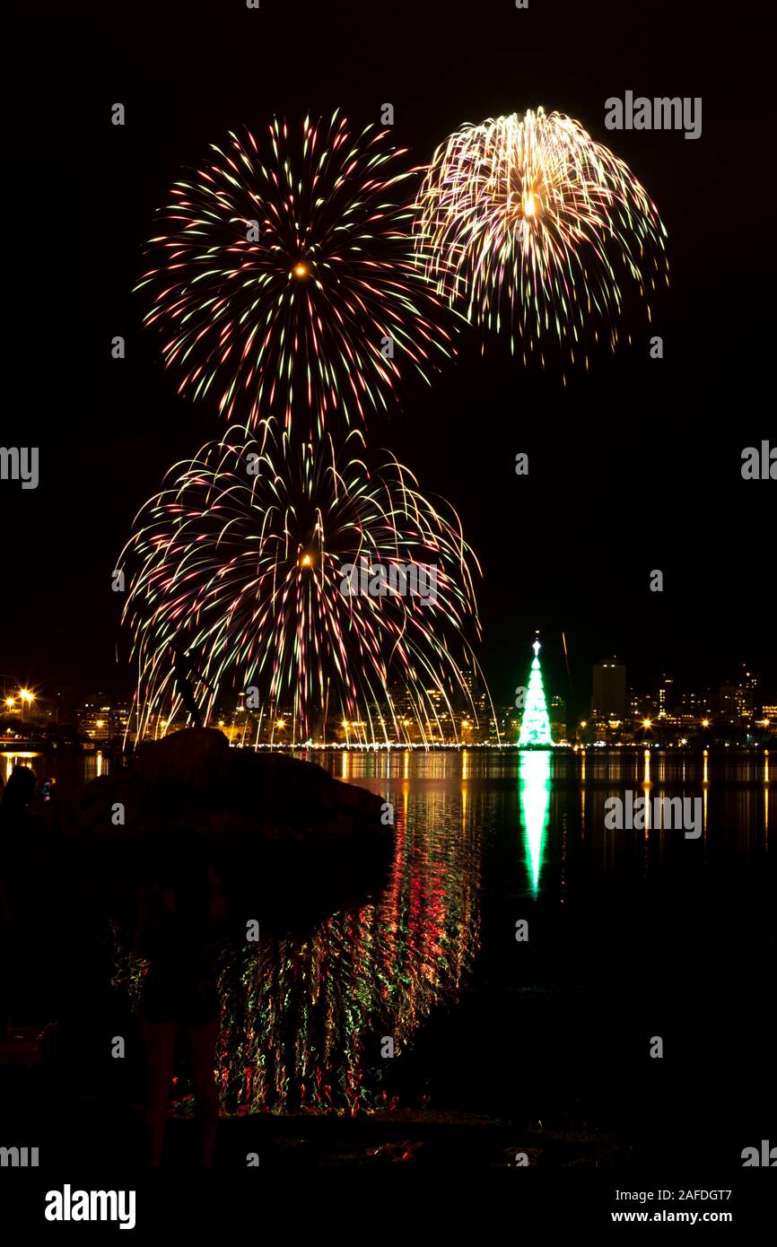 Floating tree in rio de janeiro hires stock photography and images Alamy