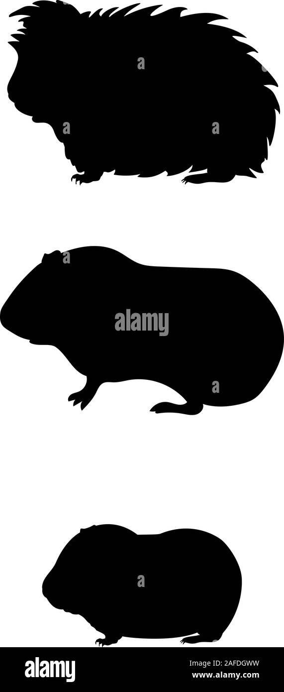 Guinea pig family. Silhouettes of pet animals. Vector illustrator Stock