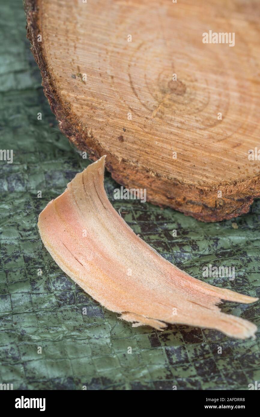 Cross skills hires stock photography and images Alamy