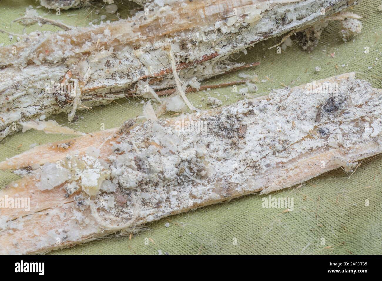 Flammable resin hires stock photography and images Alamy