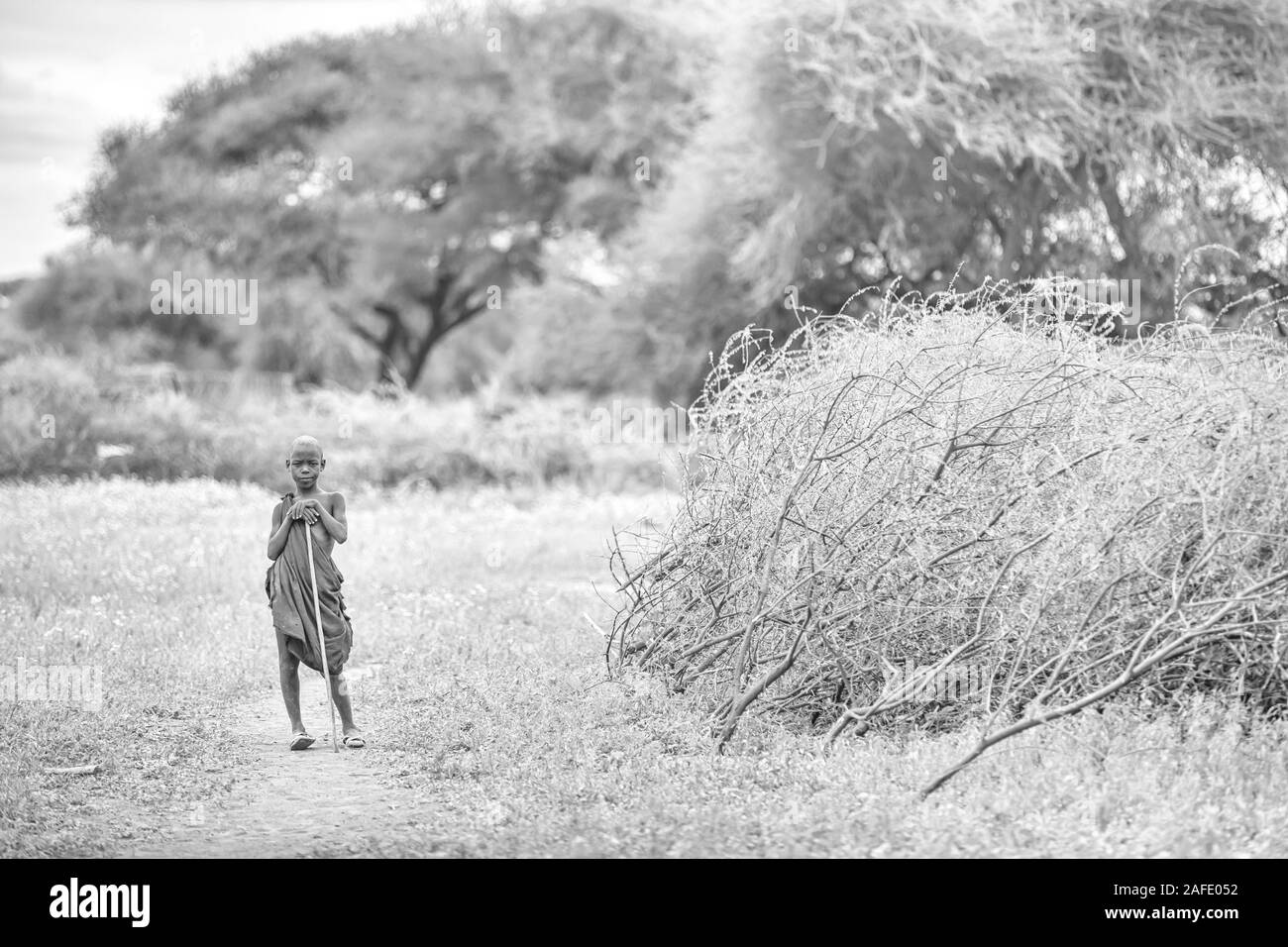 Same, Tanzania, 5th June, 2019: maasai kid in a nature of Northern Tanzania Stock Photo