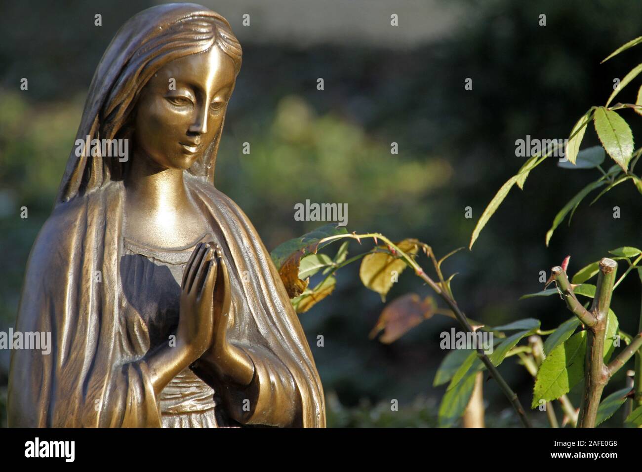 Betende Madonna auf Friedhofsgelände, Bronzestatue, Stock Photo