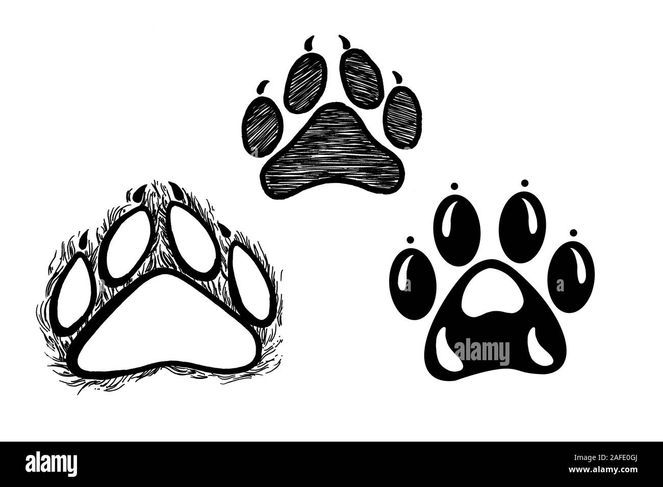 How to draw dog paws | Dog Paw Drawing - YouTube