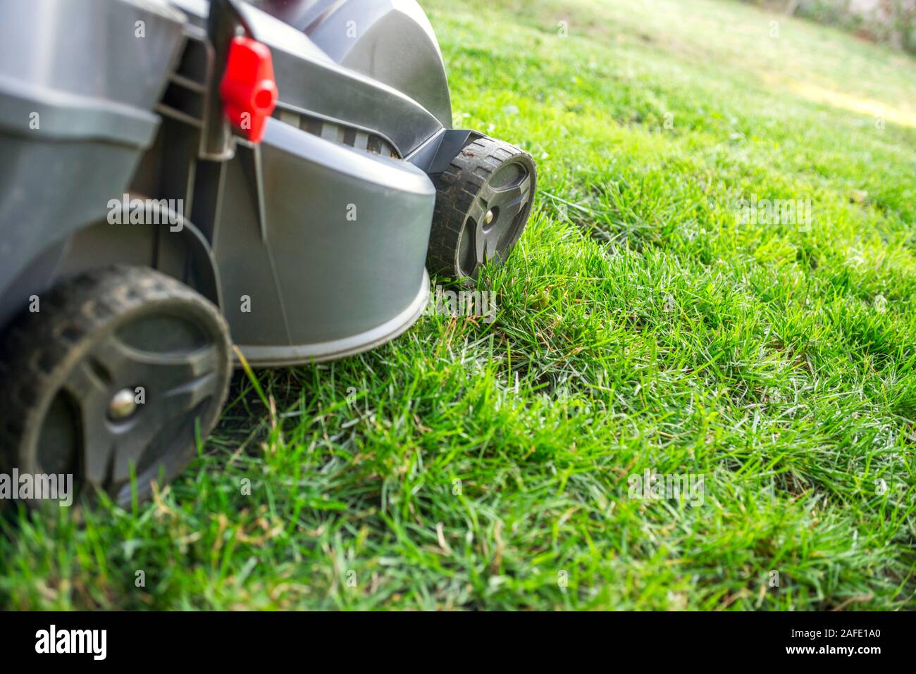 Lawn mower cutting grass. Gardening concept background. Lawn mower cutting through the grass. Stock Photo
