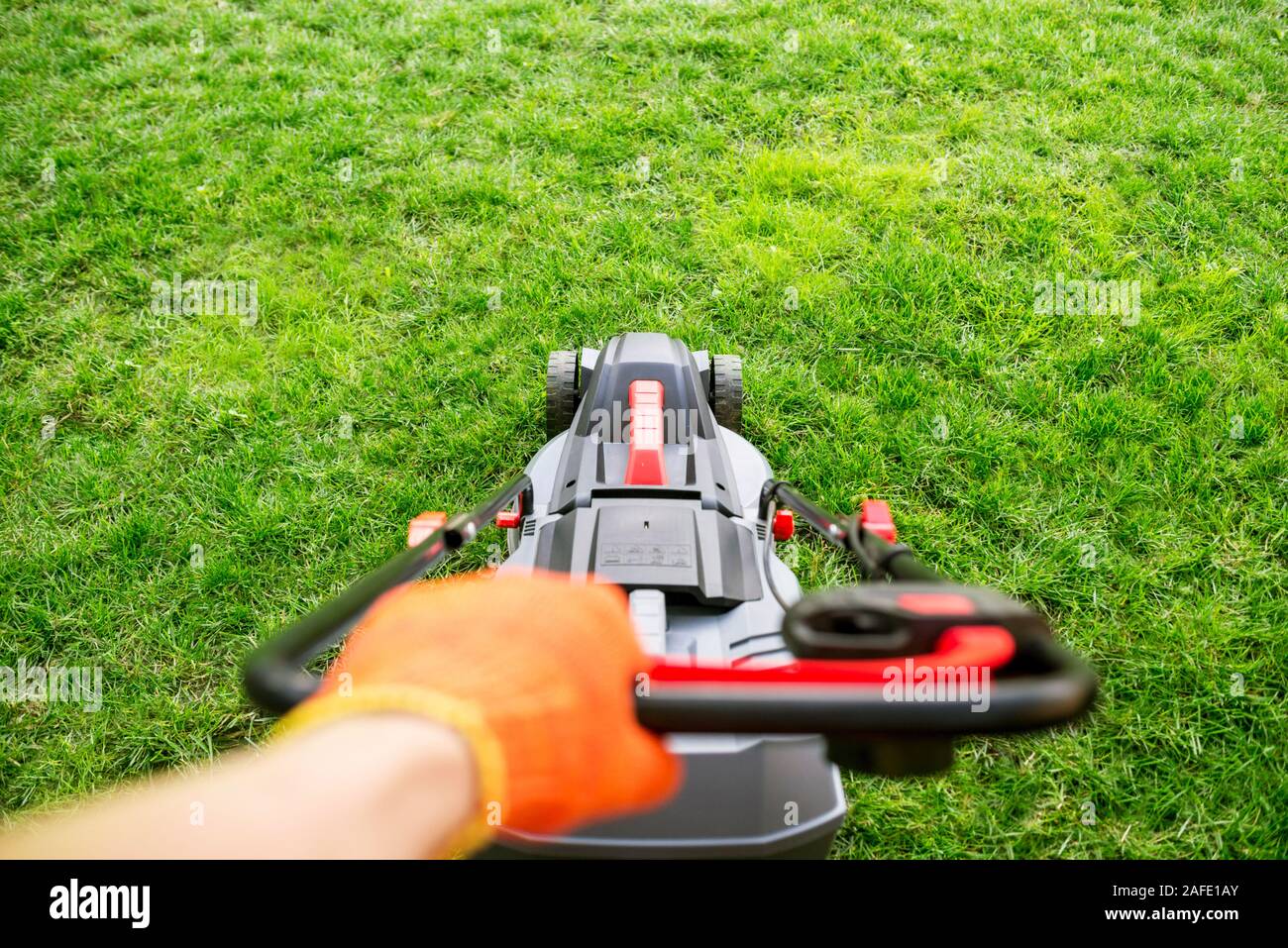 The interesting point of view from a man pushing a lawn mower. Lawn mower mowing green grass. Stock Photo