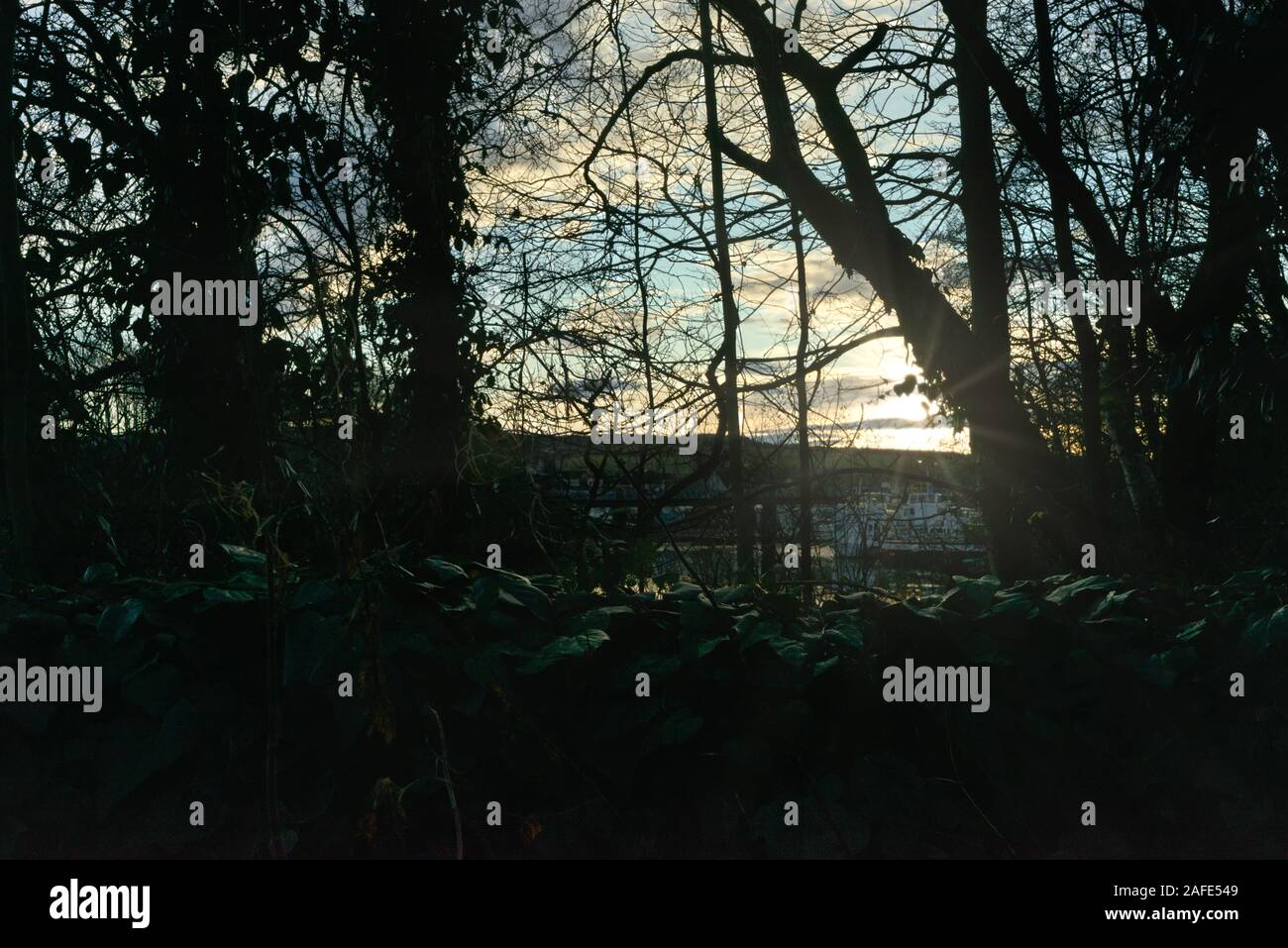 Slowly fall hi-res stock photography and images - Alamy