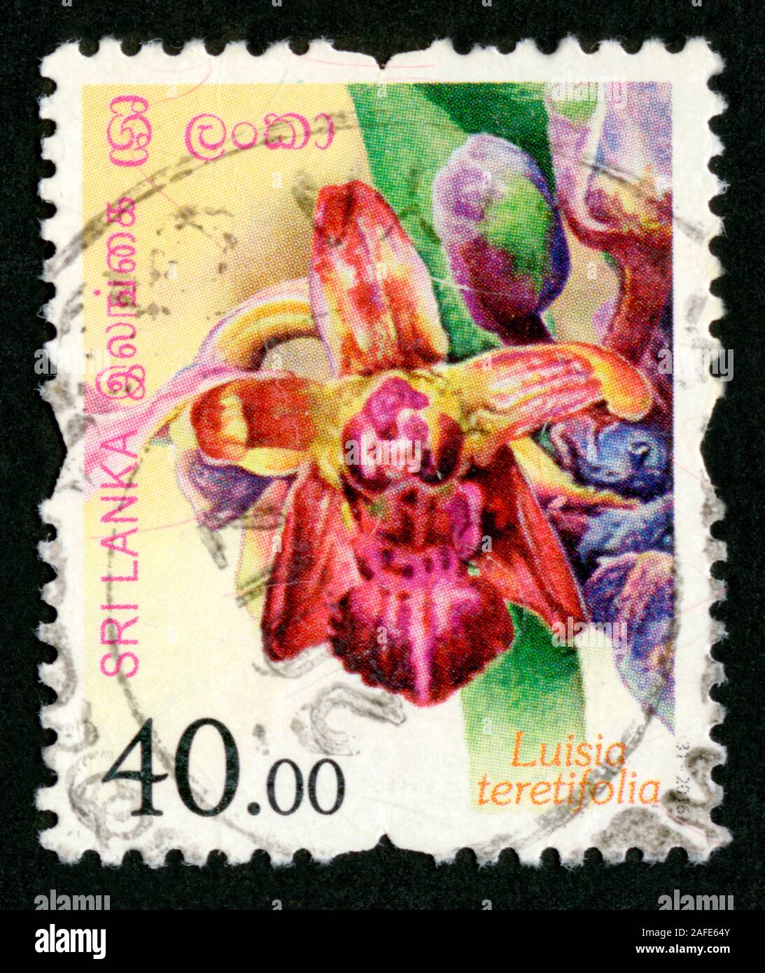 Stamp print in Sri Lanka,flowers, Luisia teretifolia Stock Photo