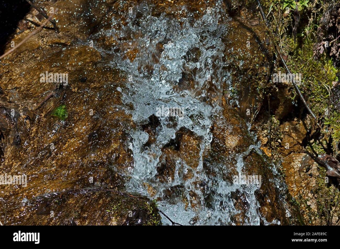 Background of natural moss, ice water, rock and dry leaves in Vit river, town Teteven, Bulgaria Stock Photo