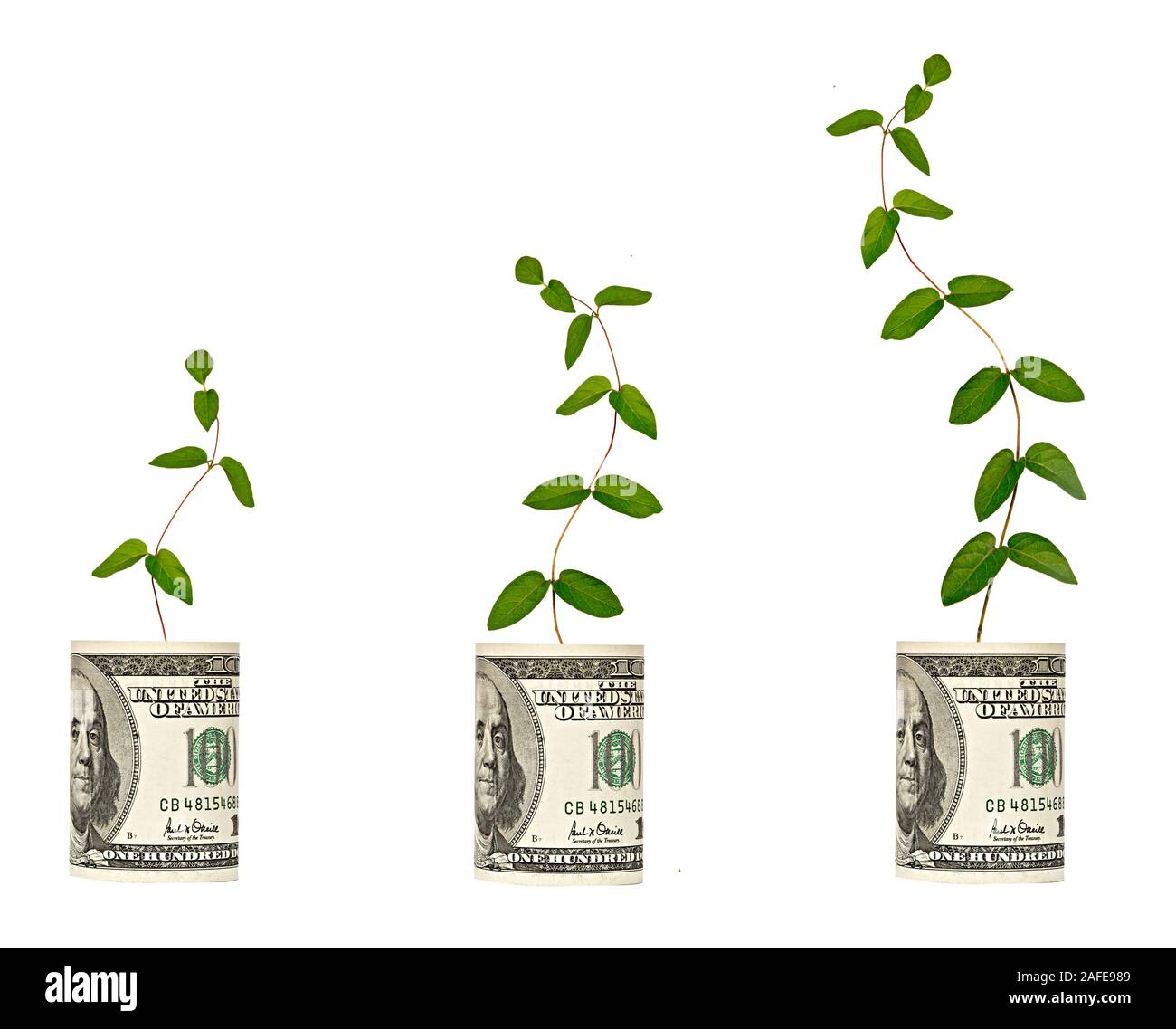 vine growing from dollar bill Stock Photo