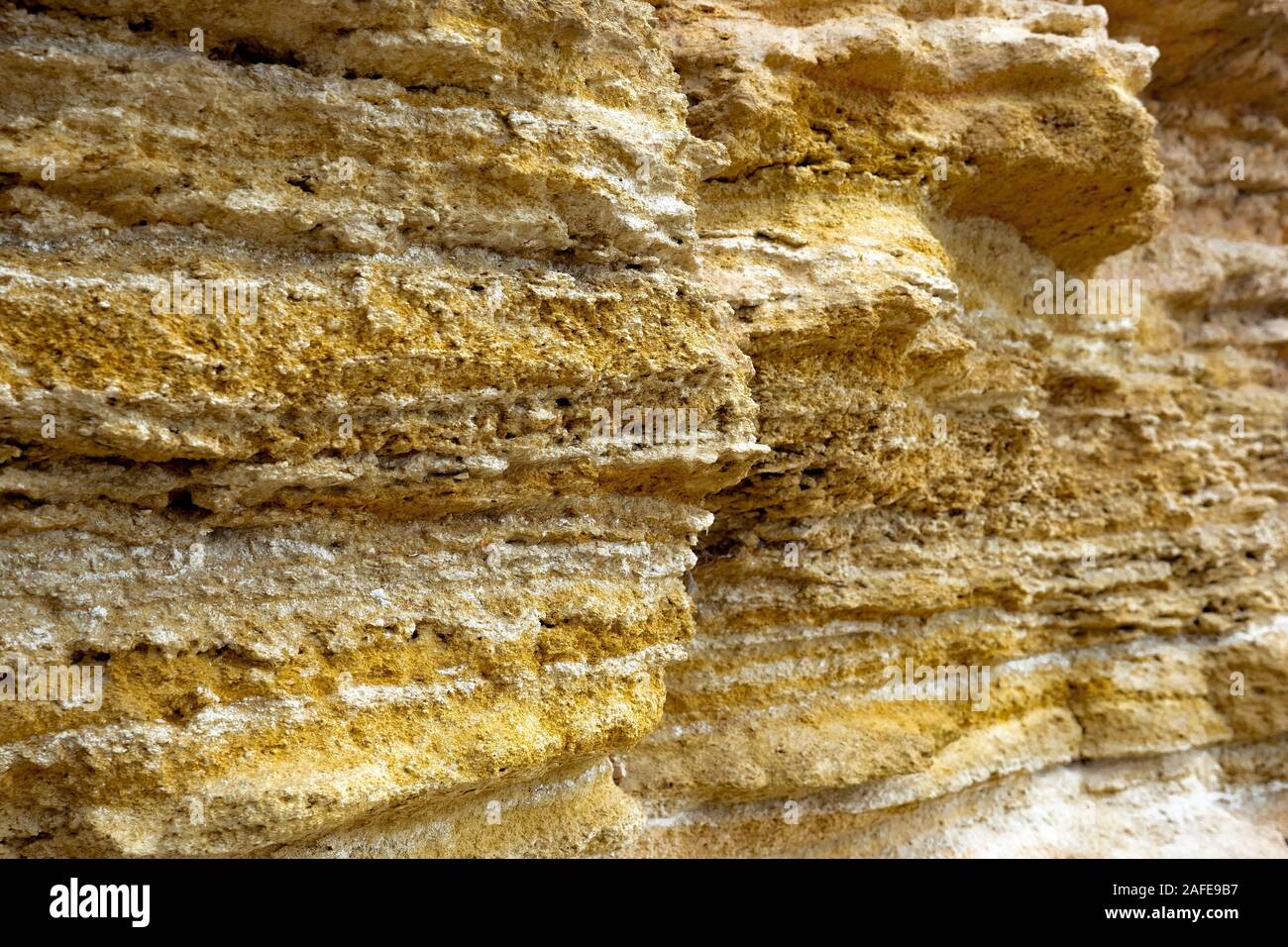 Shellfish background. Wall made of shellfish. Building material background. Close-up of wall from shellfish. Background of natural building material. Sea resources in building industry Stock Photo