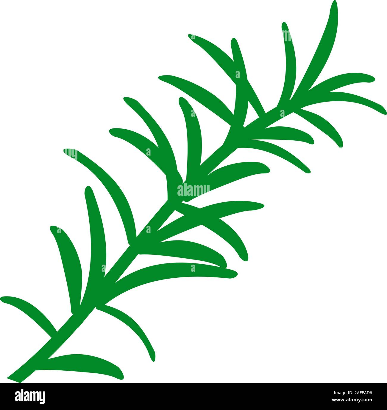 Rosemary branch. Isolated on white background. Hand drawn vector illustration. Retro style. Stock Vector