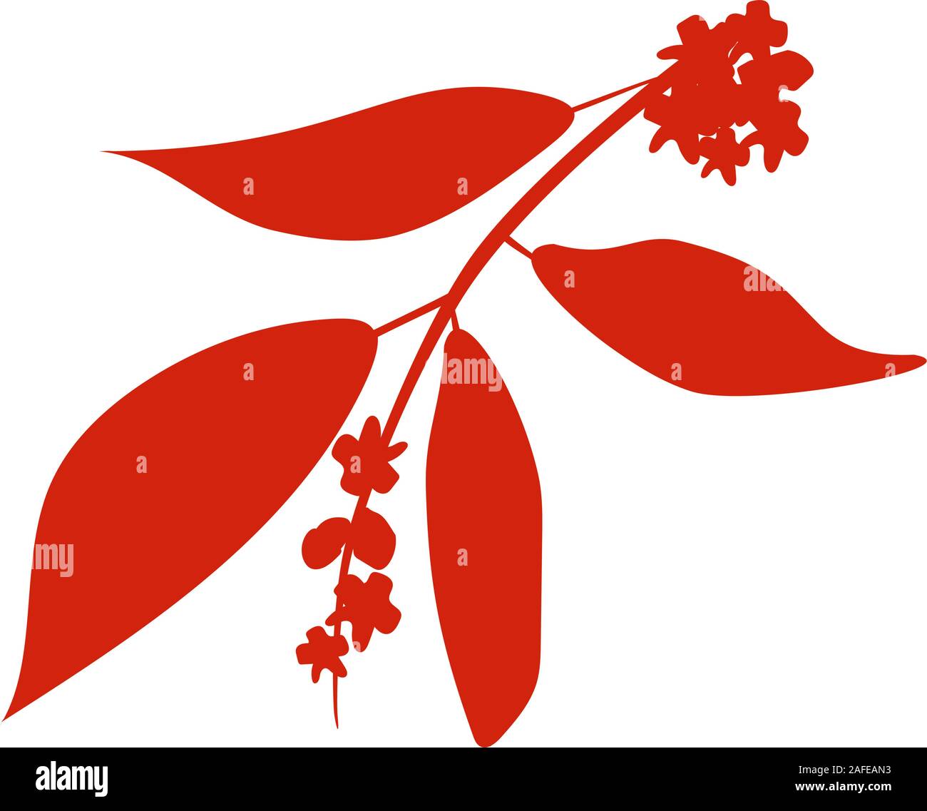 Sandalwood tree branch with flowers silhouette.Vector illustration isolated on white Stock Vector