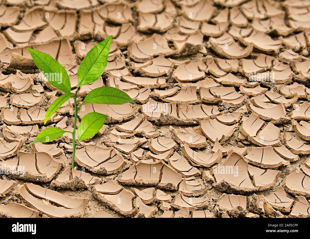 Barren land Stock Photo