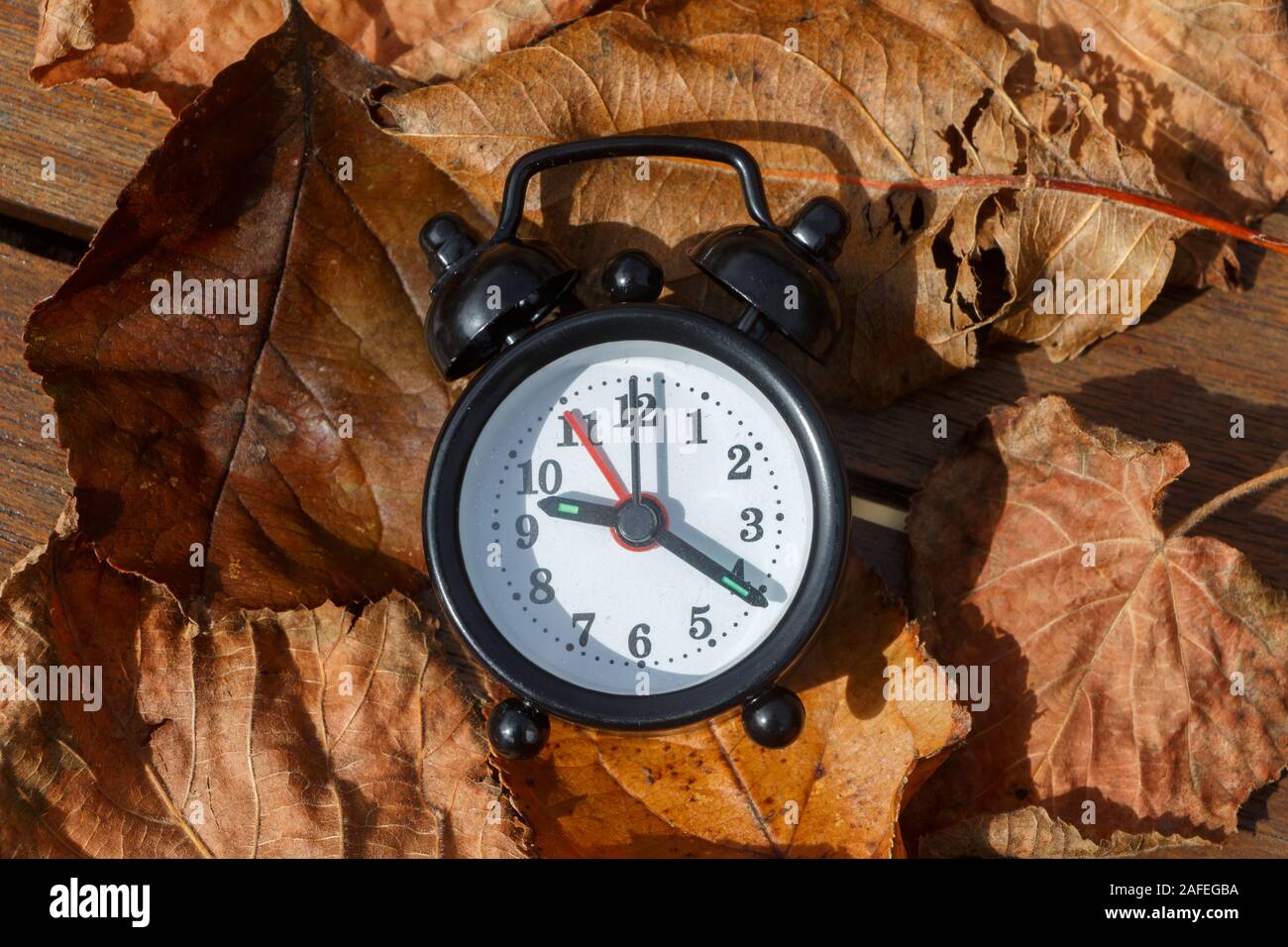 Dead leaves and black alarm clock view from above Stock Photo Alamy