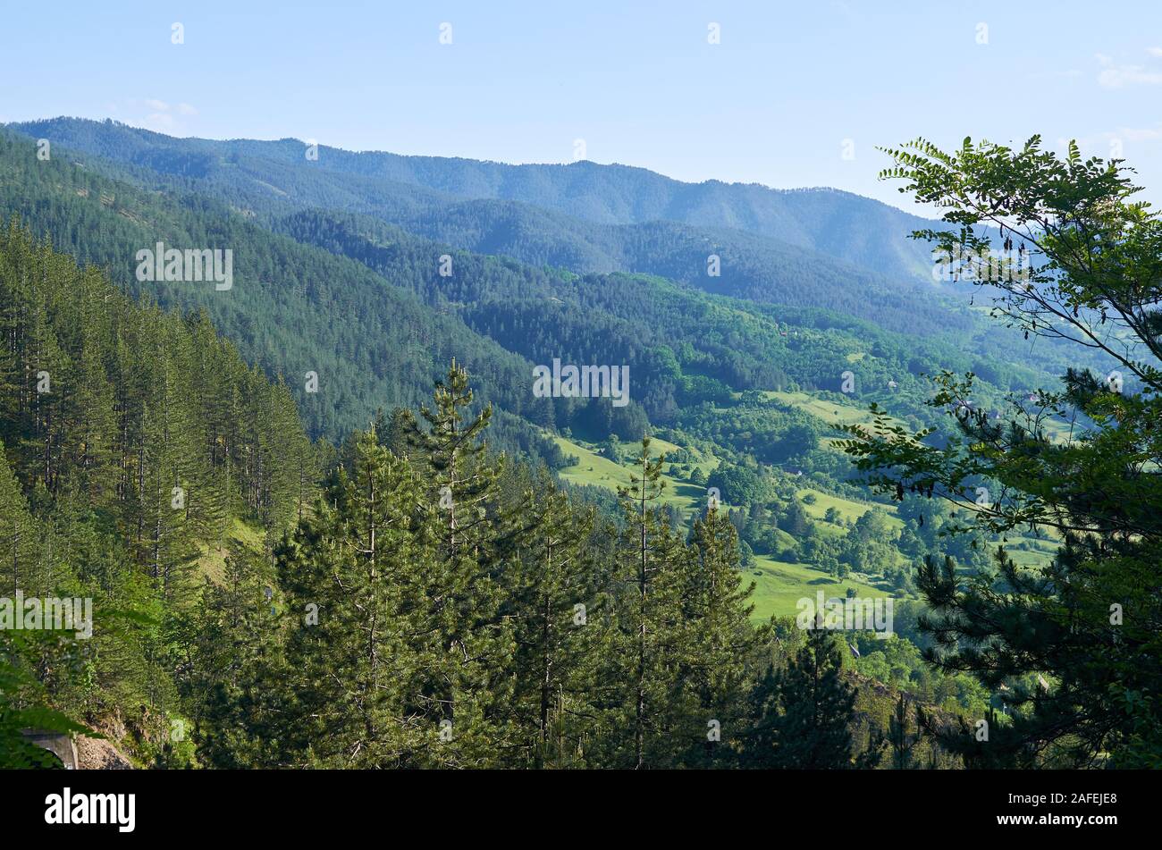 Lush green hills pastures hi-res stock photography and images - Alamy