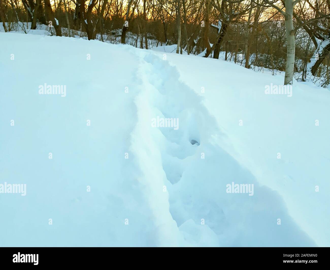 Frozen humans hi-res stock photography and images - Alamy