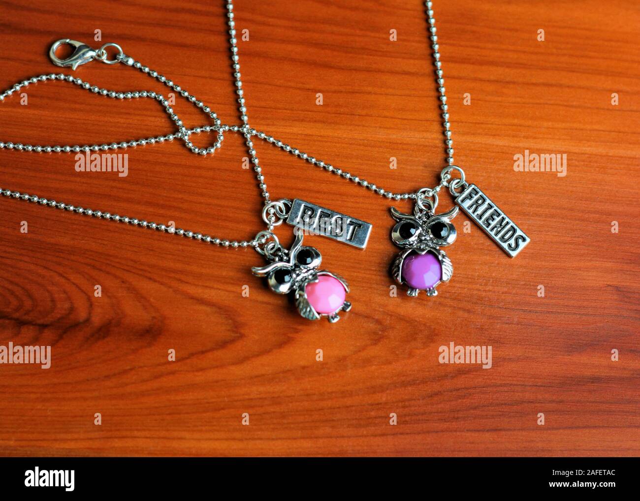 Two matching 'Best Friends' silver with pink and purple owl necklaces rest on a wood background. Stock Photo