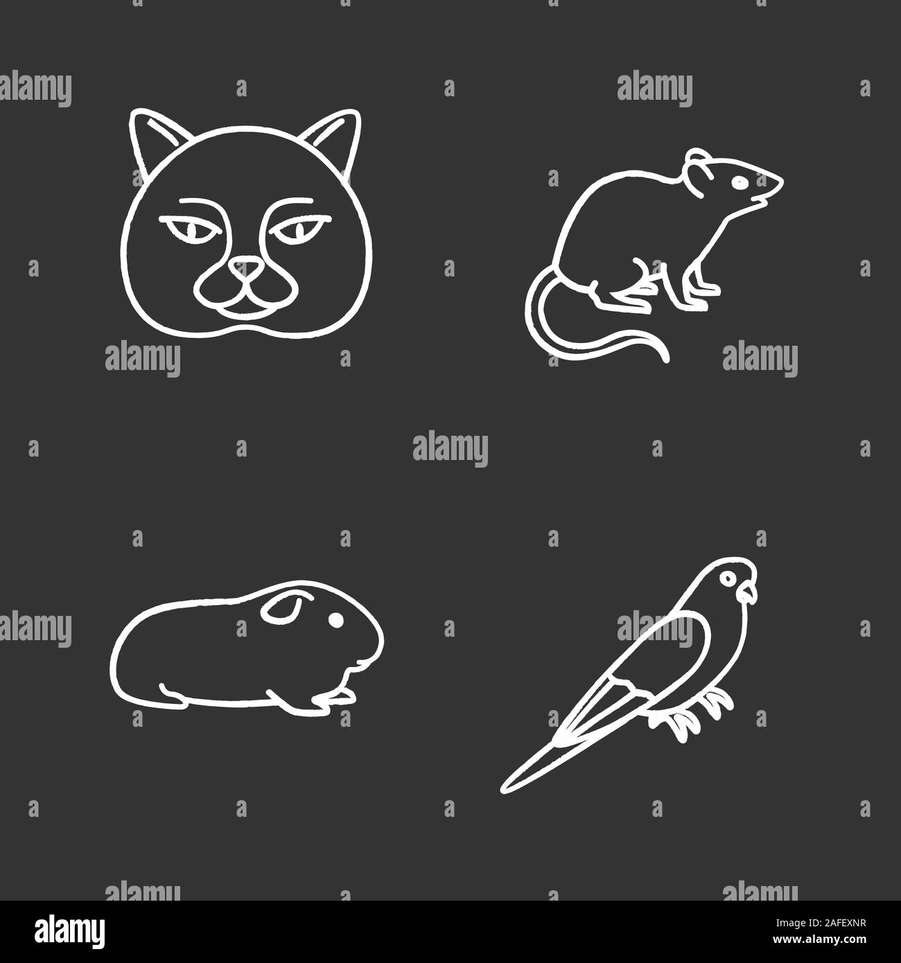Pets chalk icons set. British cat, mouse, cavy, budgerigar. Isolated vector chalkboard illustrations Stock Vector