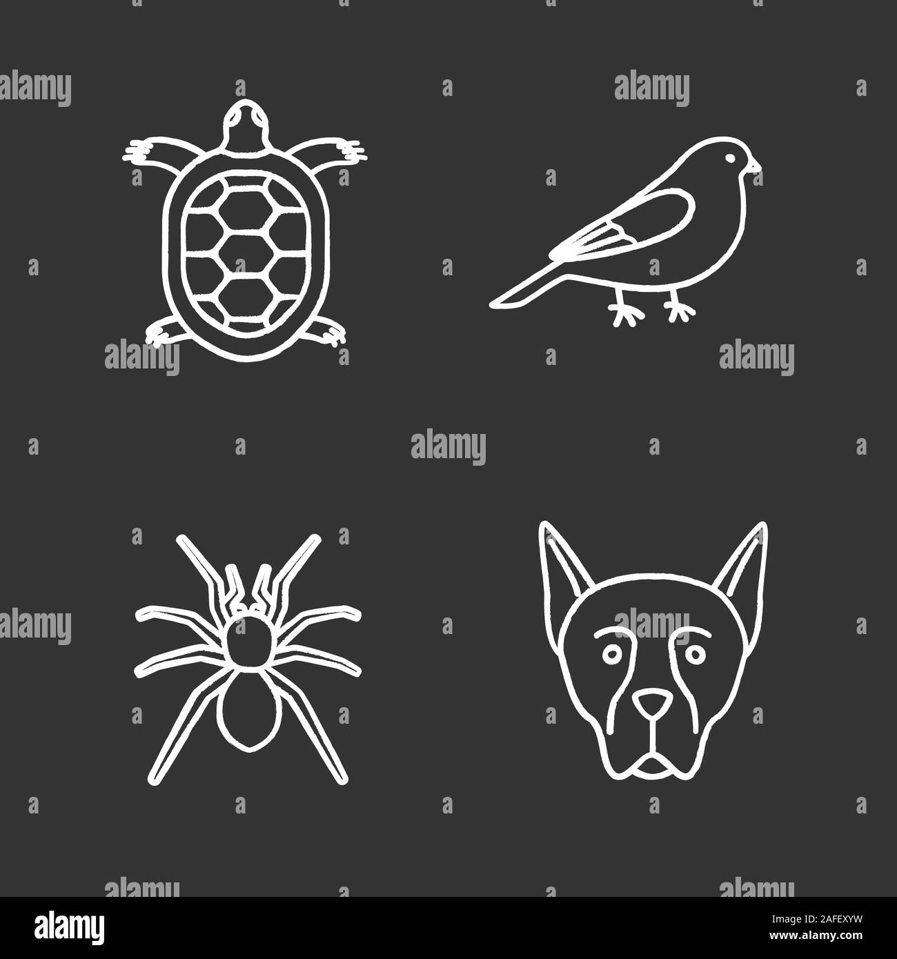 Pets chalk icons set. Tortoise, canary, spider, Doberman Pinscher. Isolated vector chalkboard illustrations Stock Vector