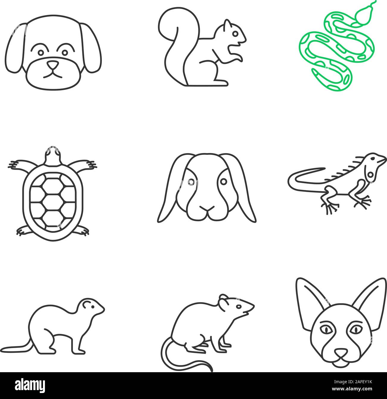 Pets linear icons set. Maltese dog, squirrel, python, tortoise, rabbit, iguana, ferret, mouse, Canadian Sphynx. Thin line contour symbols. Isolated ve Stock Vector