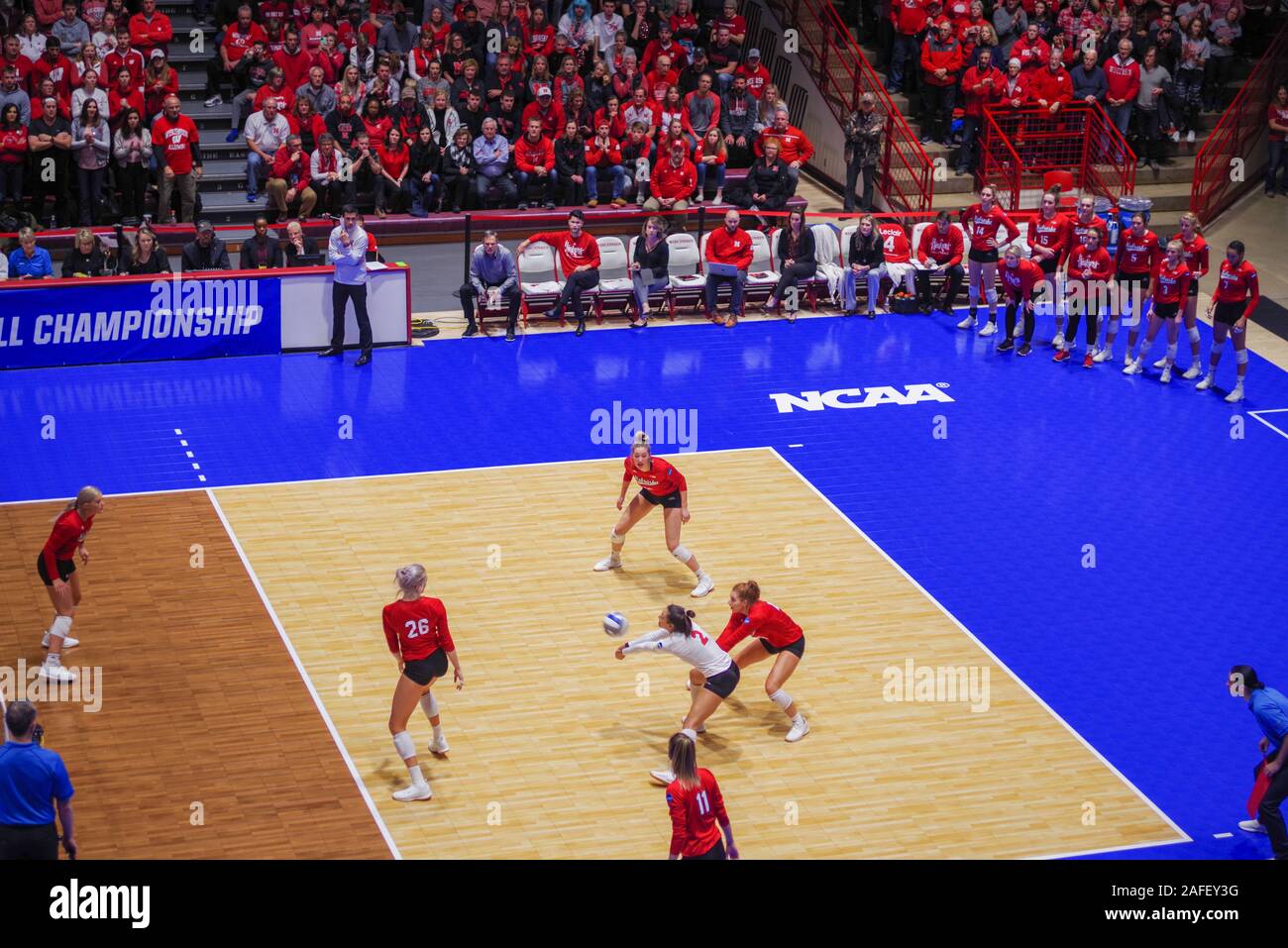Photograph from the 2019 NCAA Regional Women's Volleyball Championship
