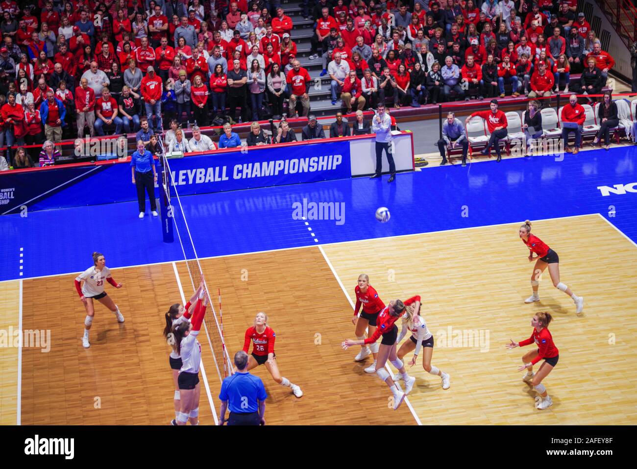 Photograph from the 2019 NCAA Regional Women's Volleyball Championship