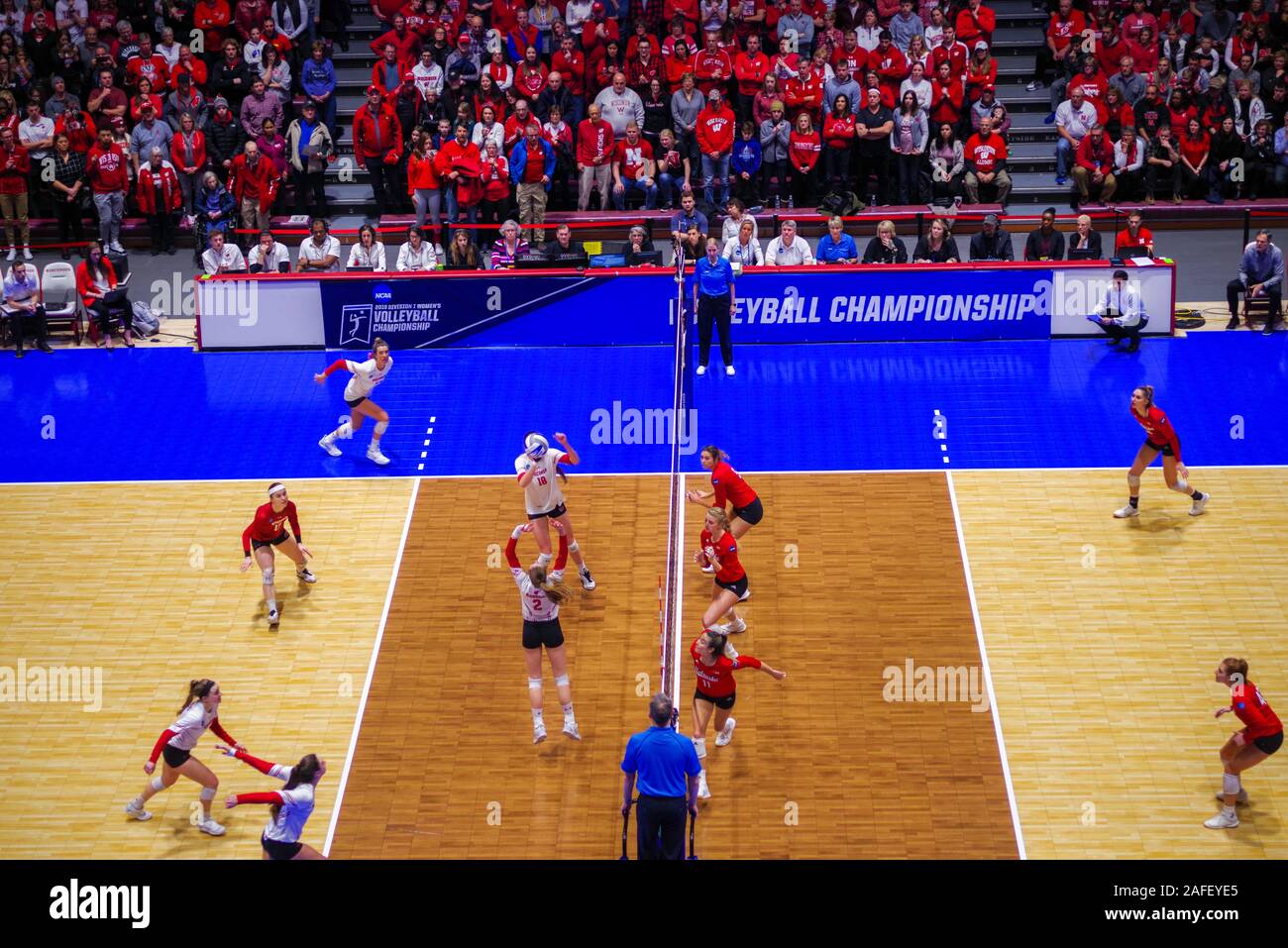 Photograph from the 2019 NCAA Regional Women's Volleyball Championship