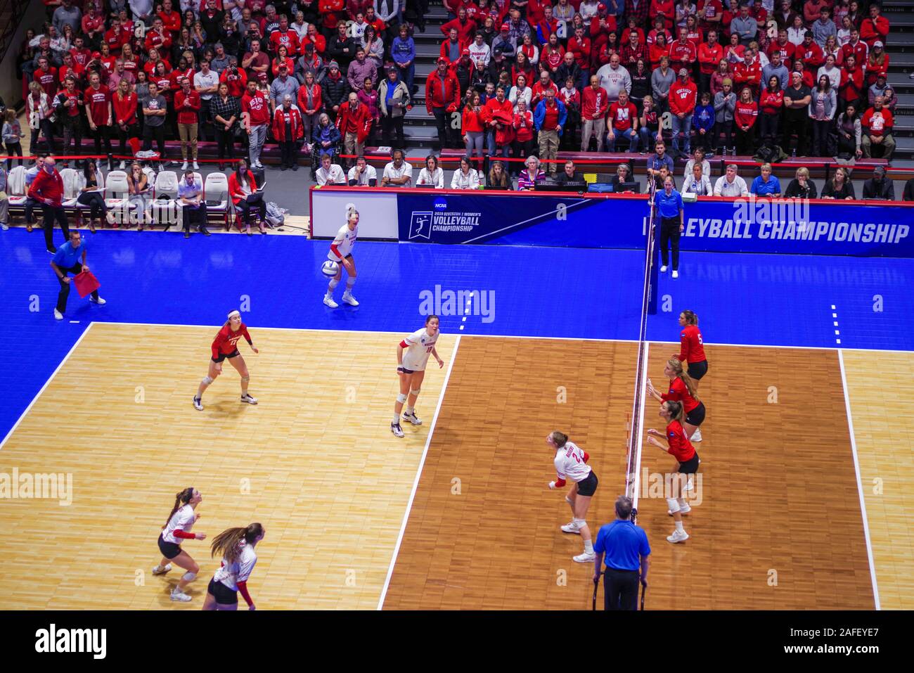 Photograph from the 2019 NCAA Regional Women's Volleyball Championship