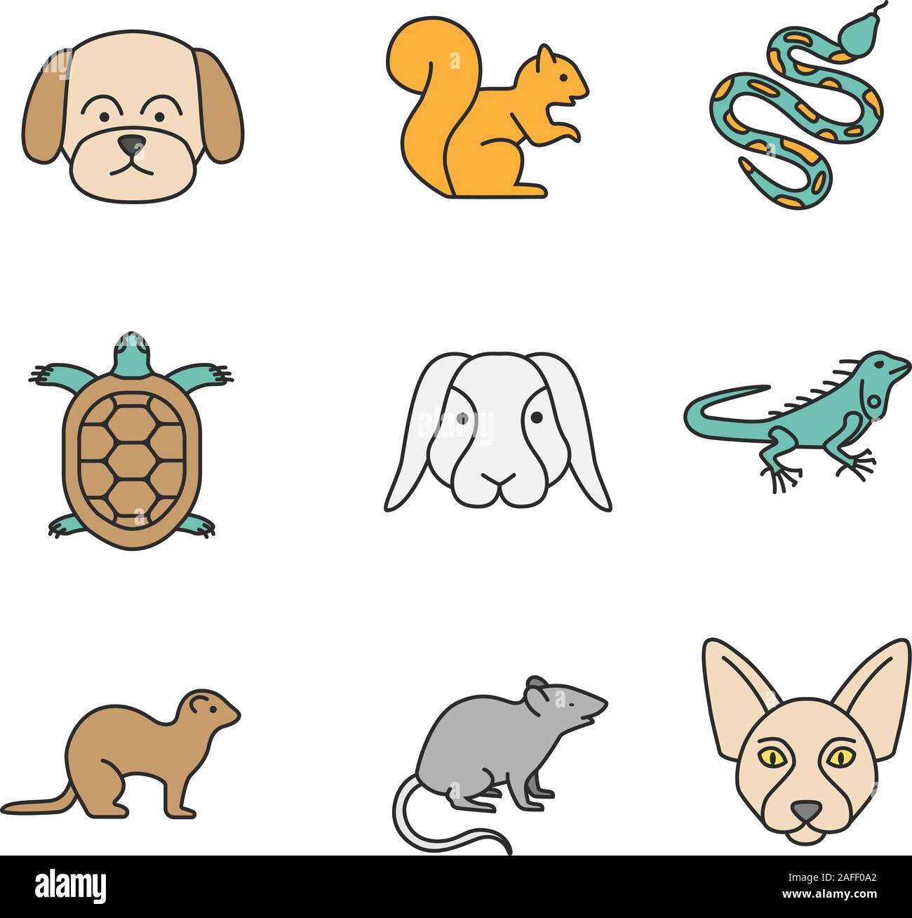 Pets color icons set. Maltese dog, squirrel, python, tortoise, rabbit, iguana, ferret, mouse, Canadian Sphynx. Isolated vector illustrations Stock Vector