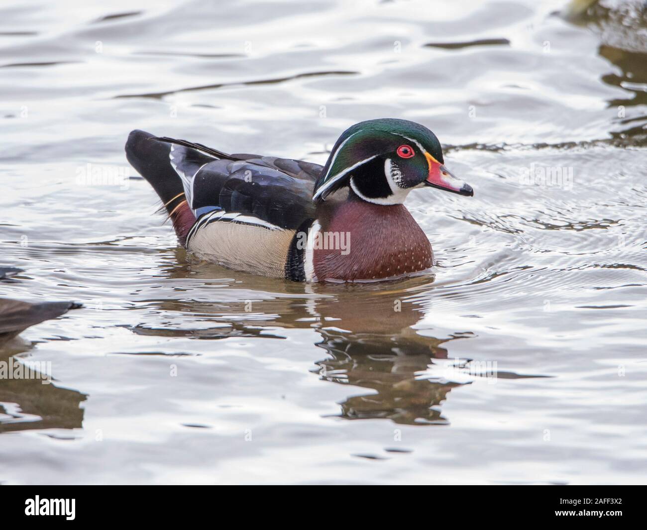 Rotary park hires stock photography and images Alamy