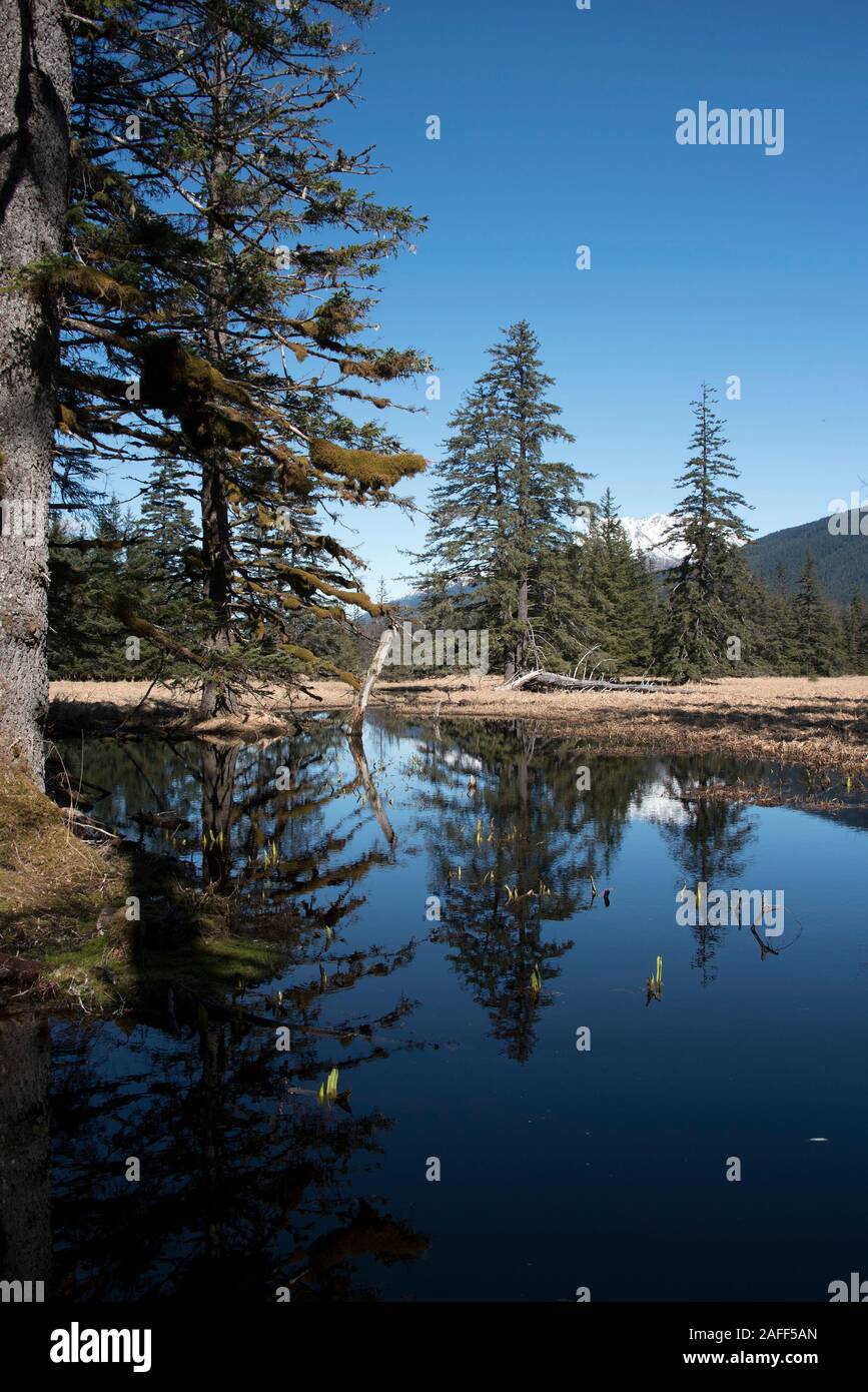 Point bridget state park hires stock photography and images Alamy