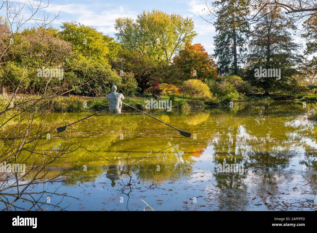 Old Westbury, New York, USA. 19th Oct, 2019. Rower, seen from behind, is a Jerzy KÄ™dziora