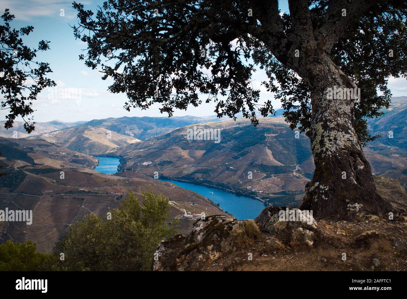 This viewpoint, located between Regua and Vila Real, provides one of the most amazing views of the Douro River and its banks  São Leonardo da Galafura Stock Photo