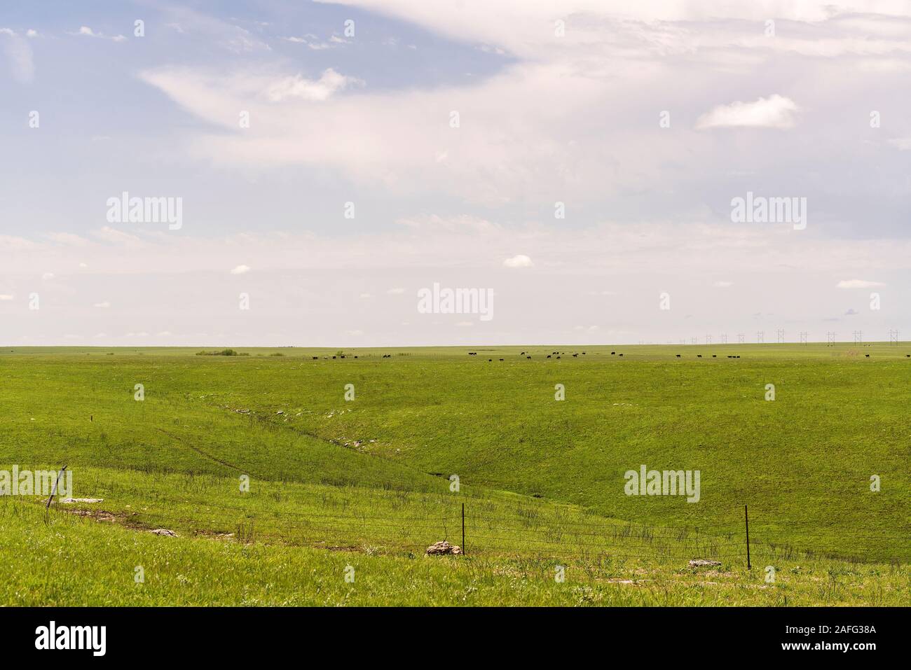 Green pasture land in the Flint Hills of Kansas Stock Photo Alamy